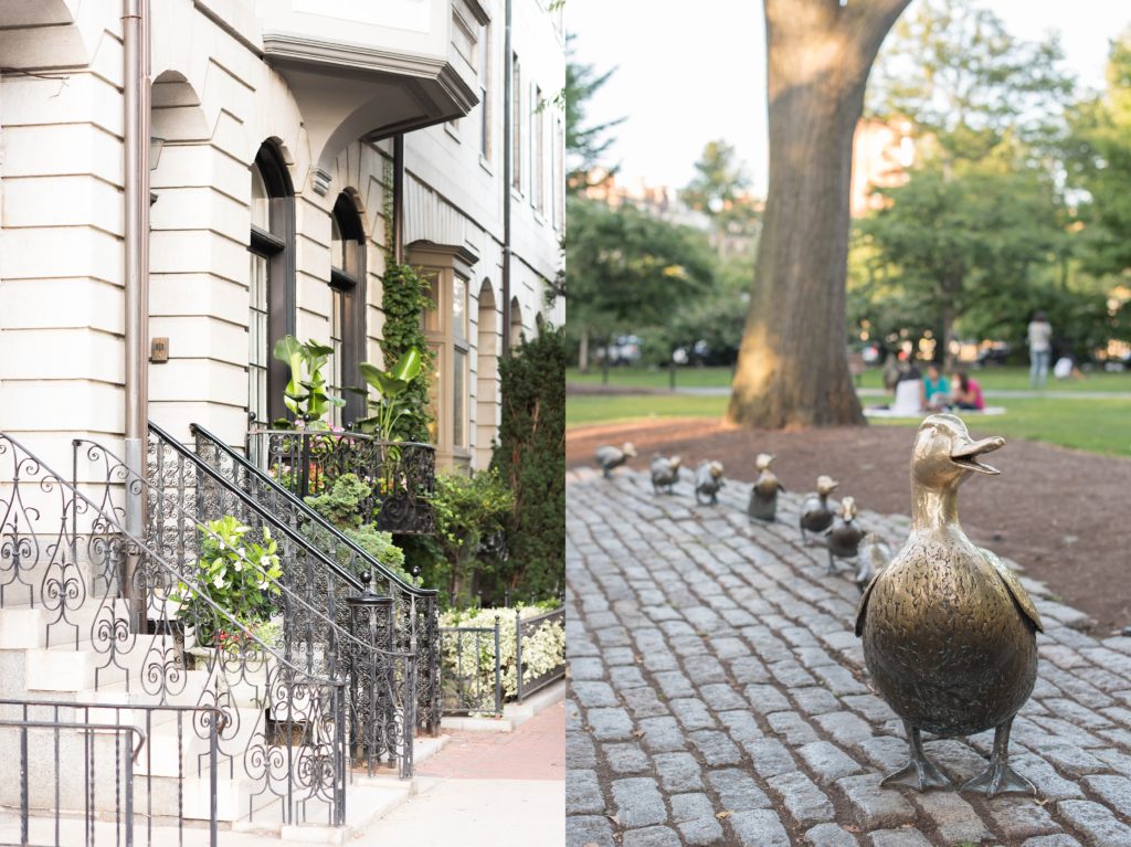 boston public garden golden ducks