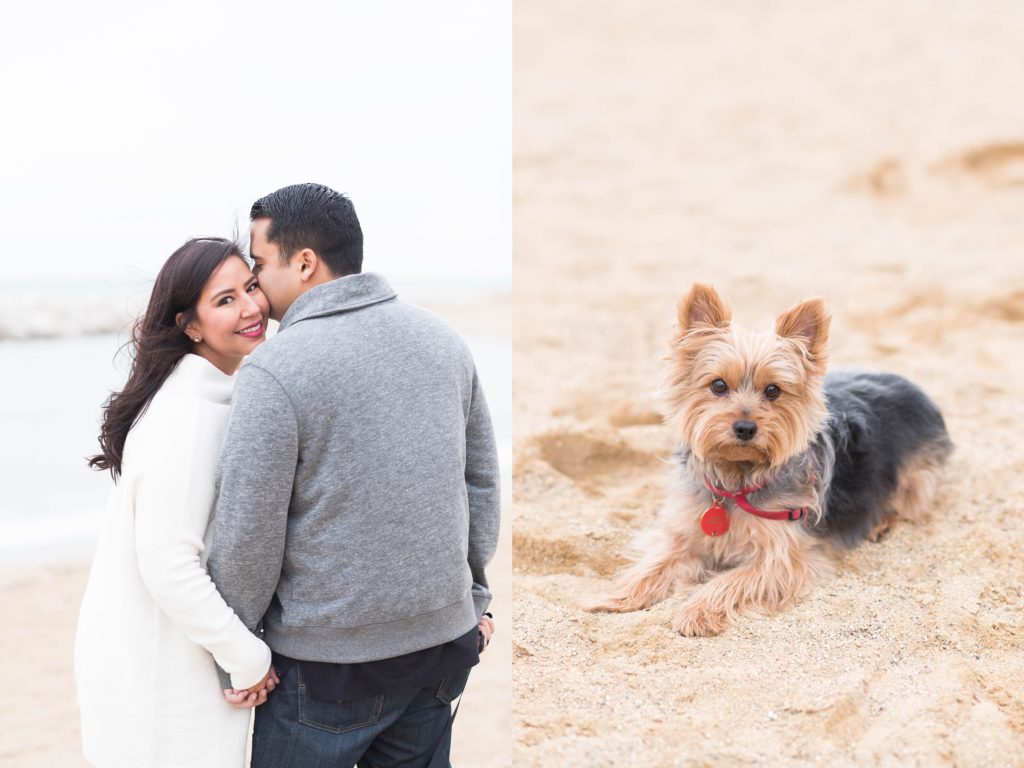 Yorkie and couple