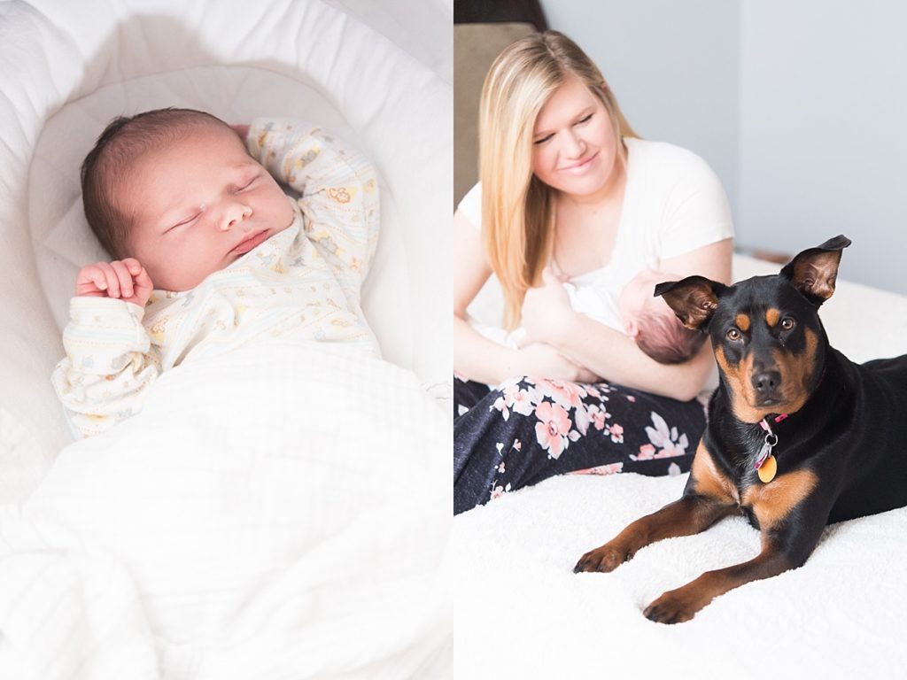 baby and dog family photographer