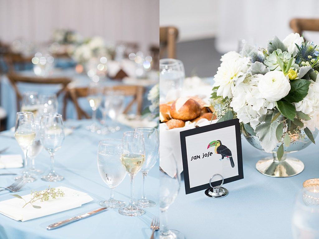 Wedding photos toucan