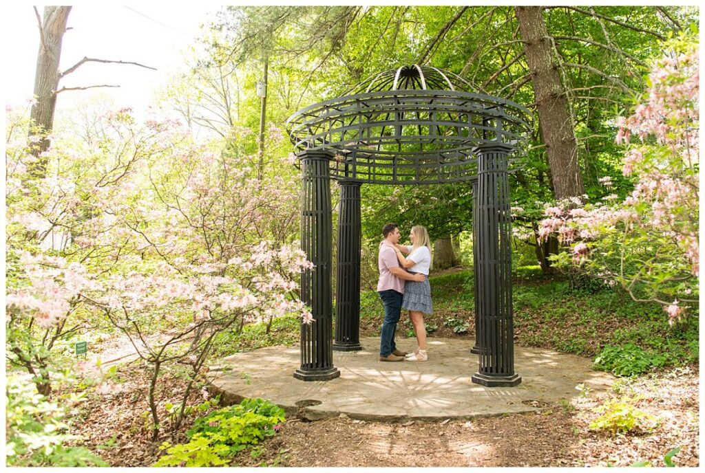 nashville engagement