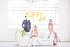 puppy love inspired valentines day shoot