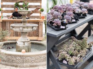 Water fountain and close up of potted plants