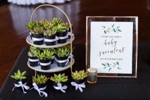 Succulent party favors for gender reveal party inspiration.
